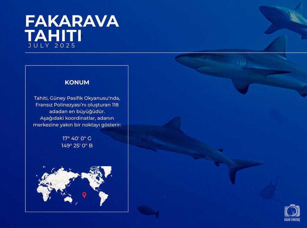 deephookdiscoveries_1755340521_3700386953345368018_76403447352