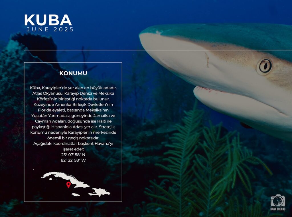 deephookdiscoveries_1756283909_3708300667359605070_76403447352