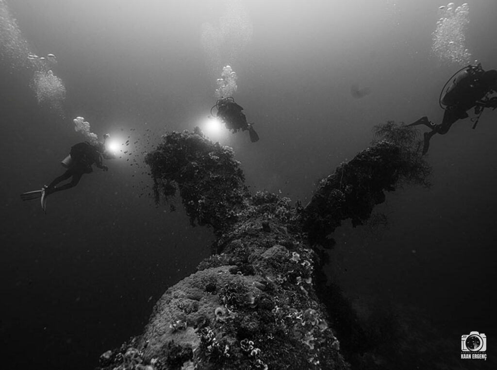 deephookdiscoveries_1756734020_3712076470974730887_76403447352