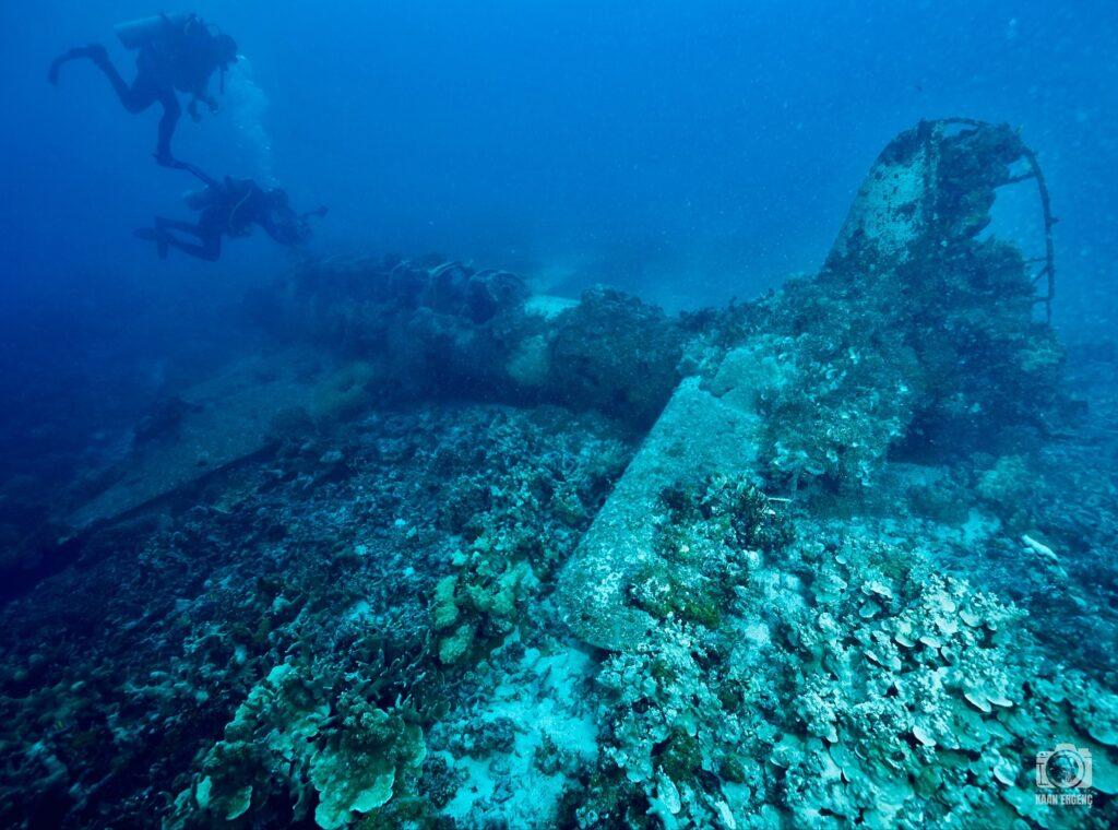 deephookdiscoveries_1756734020_3712076470974738629_76403447352