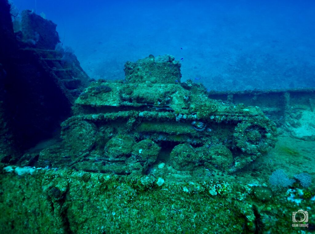 deephookdiscoveries_1756734020_3712076470983099761_76403447352