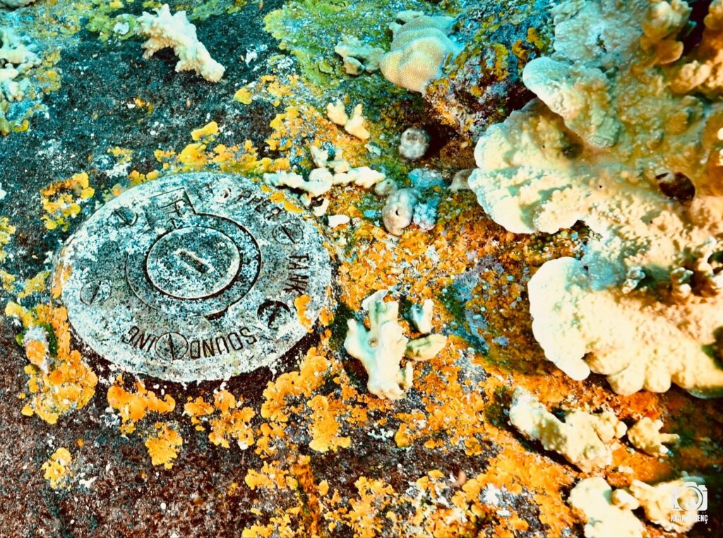 deephookdiscoveries_1756734020_3712076470983108528_76403447352