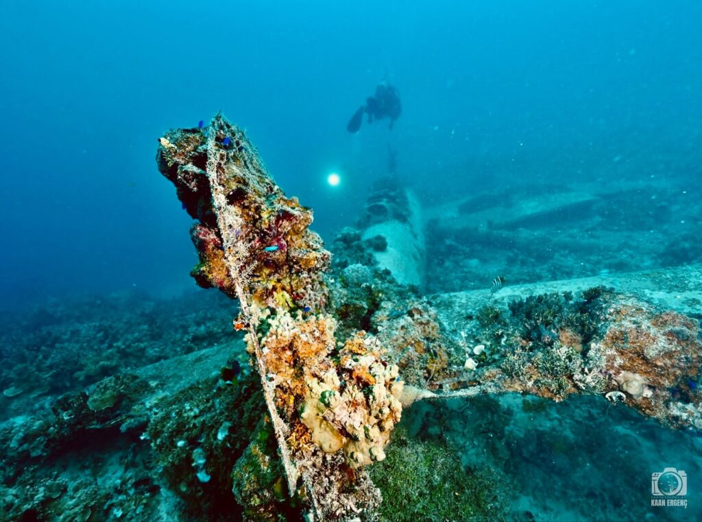 deephookdiscoveries_1756734020_3712076470991493146_76403447352