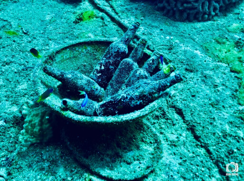 deephookdiscoveries_1756734190_3712077894009764478_76403447352