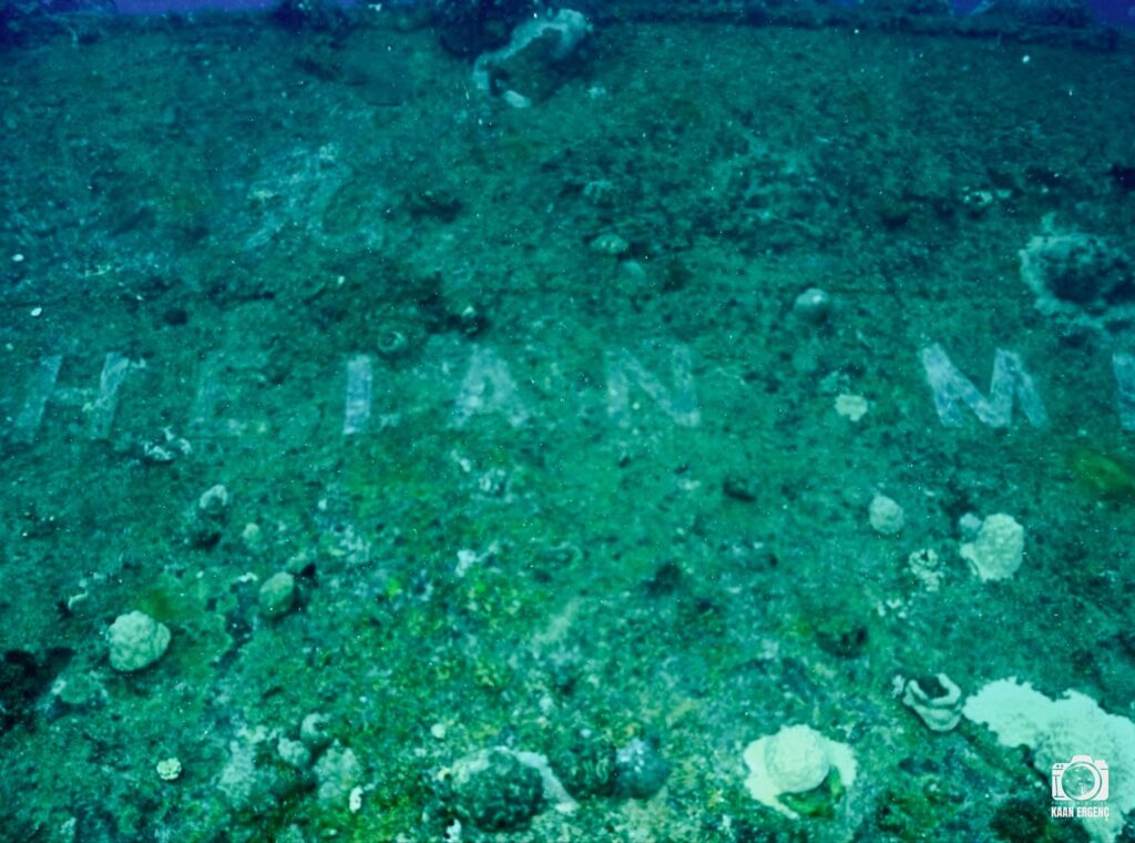 deephookdiscoveries_1756734190_3712077894009768111_76403447352