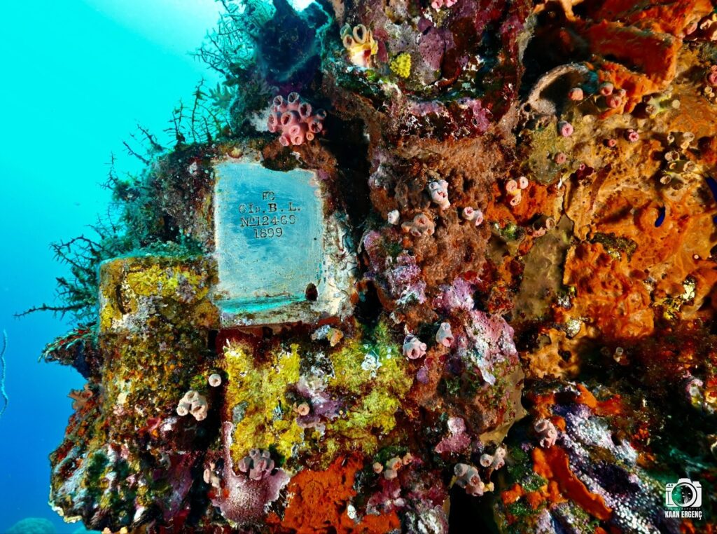 deephookdiscoveries_1756734190_3712077894009773777_76403447352