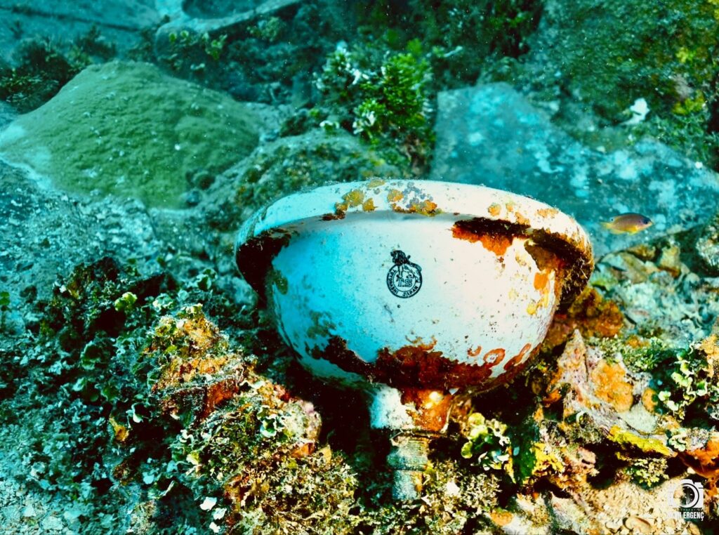 deephookdiscoveries_1756734190_3712077894009784997_76403447352