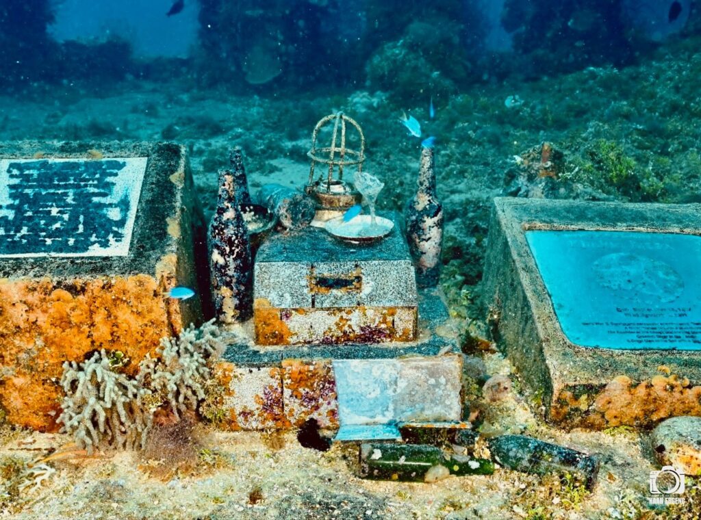 deephookdiscoveries_1756734190_3712077894009797738_76403447352