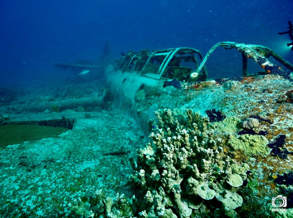 deephookdiscoveries_1756734190_3712077894018189247_76403447352