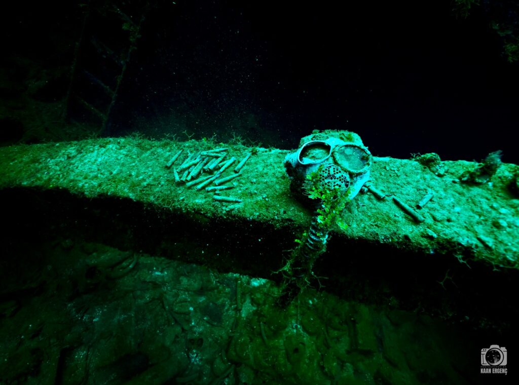 deephookdiscoveries_1756734247_3712078373913647230_76403447352