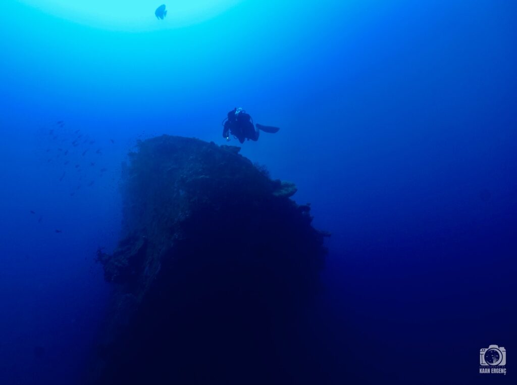 deephookdiscoveries_1756734247_3712078374224061181_76403447352