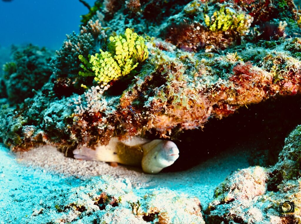 deephookdiscoveries_1756816073_3712764782156772089_76403447352