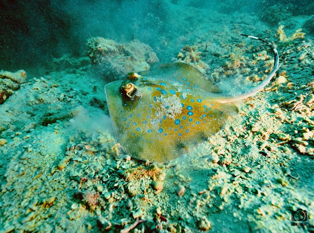 deephookdiscoveries_1756816073_3712764782165158160_76403447352