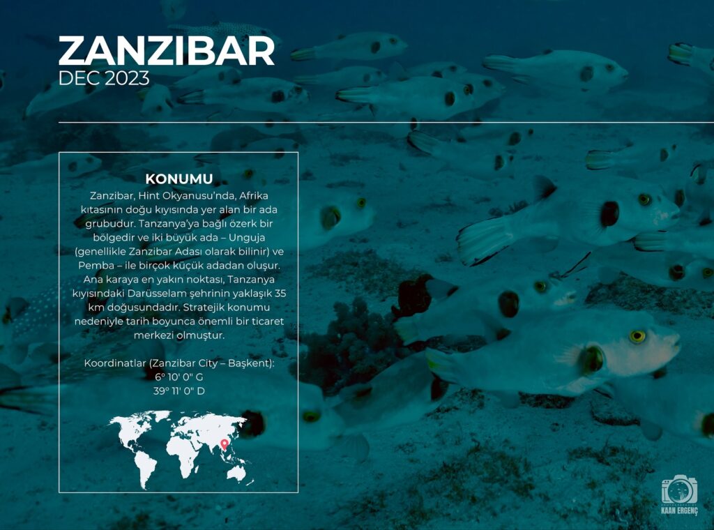 deephookdiscoveries_1756816236_3712766149139112441_76403447352