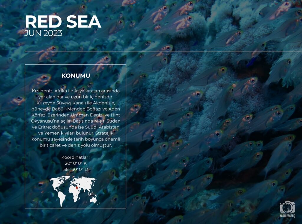 deephookdiscoveries_1757337186_3717136192790633383_76403447352