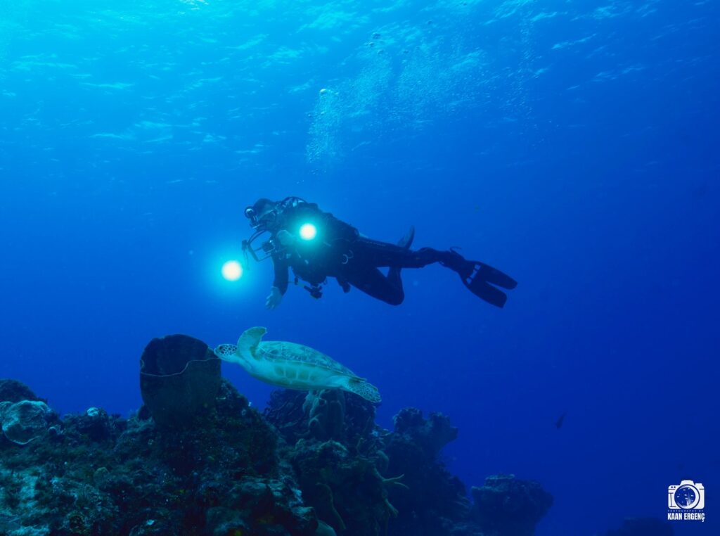 deephookdiscoveries_1757337666_3717140215790861483_76403447352