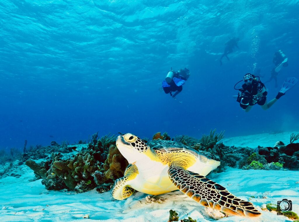 deephookdiscoveries_1757337666_3717140215790873826_76403447352