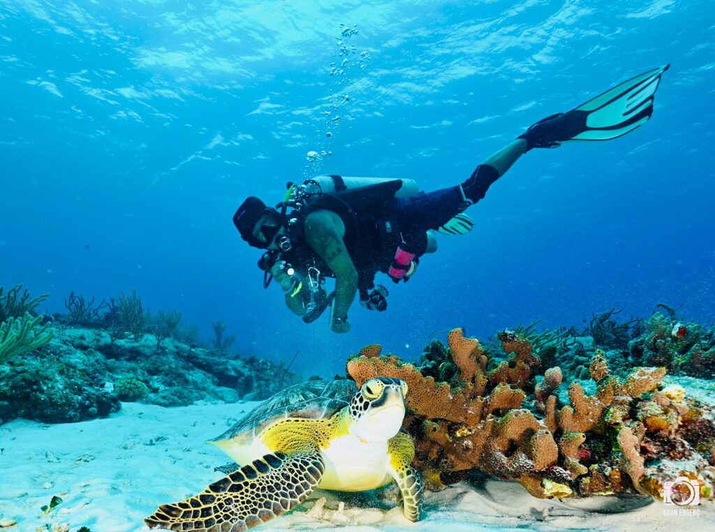 deephookdiscoveries_1757337666_3717140215799258910_76403447352