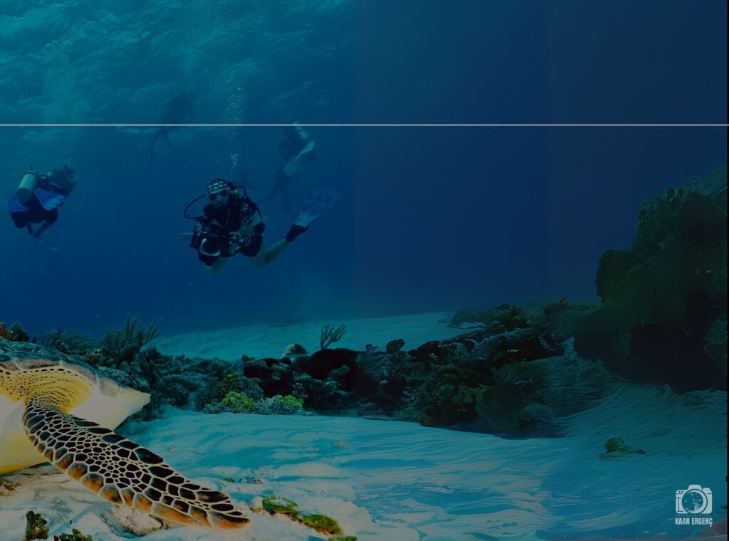 deephookdiscoveries_1757337666_3717140215807664593_76403447352