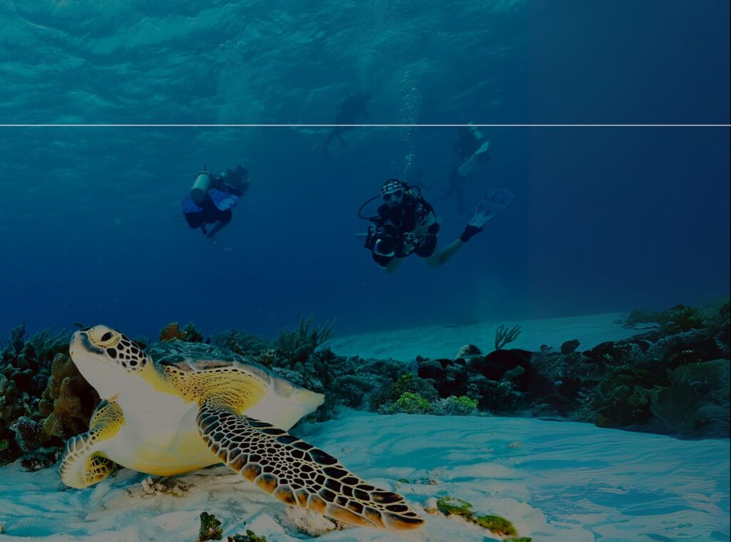 deephookdiscoveries_1757337769_3717141081319079887_76403447352