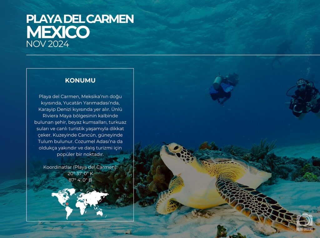 deephookdiscoveries_1757337831_3717141603501517880_76403447352