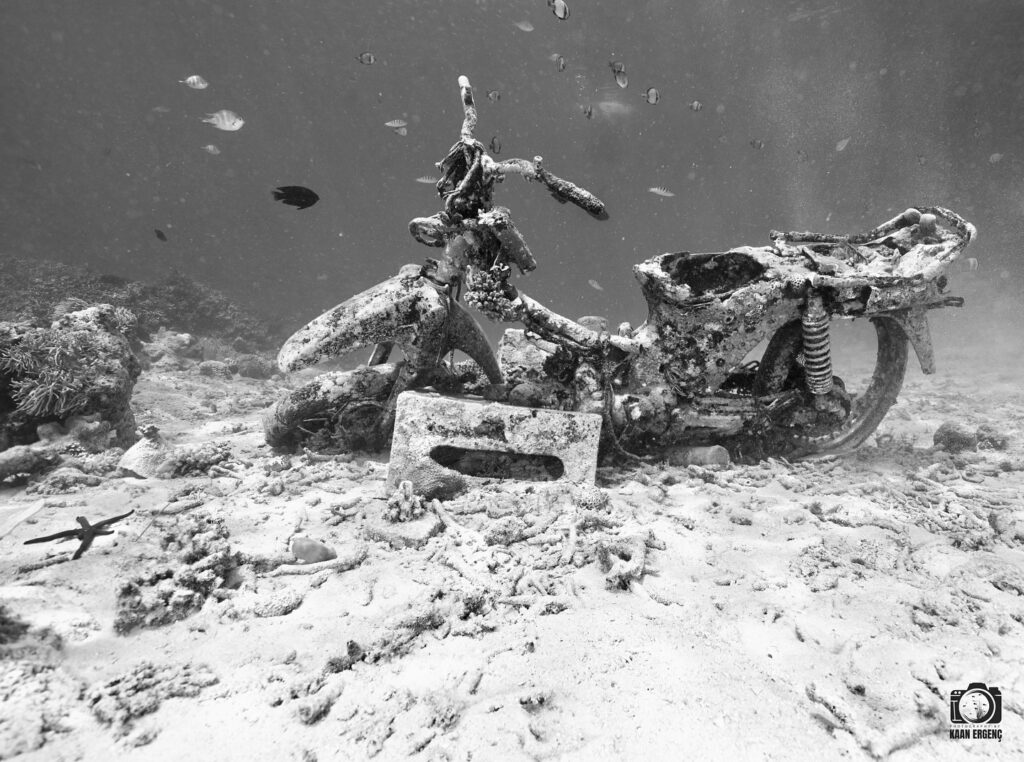 deephookdiscoveries_1757339064_3717151944373436787_76403447352