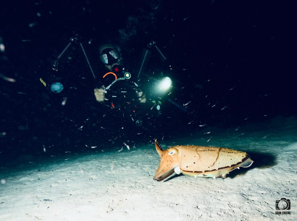 deephookdiscoveries_1757339064_3717151944373489245_76403447352