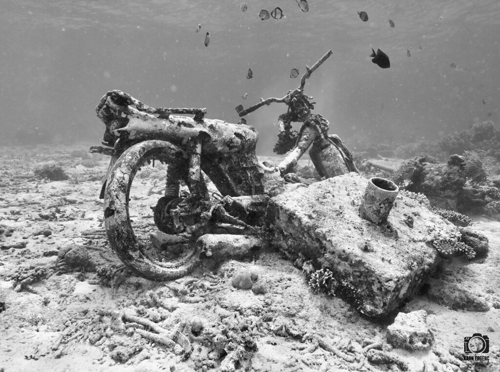 deephookdiscoveries_1757339064_3717151944390237773_76403447352