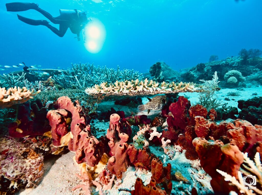 deephookdiscoveries_1757339149_3717152662127927950_76403447352