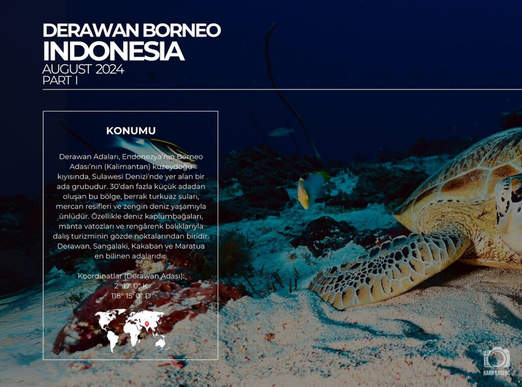 deephookdiscoveries_1757339149_3717152662471862025_76403447352