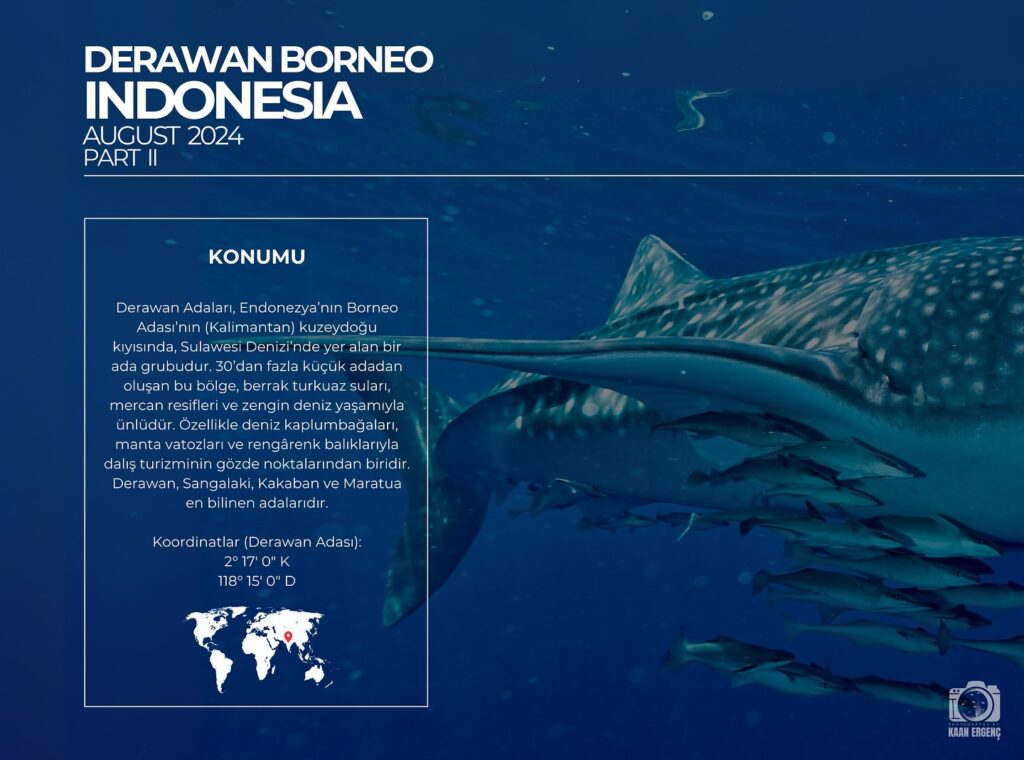 deephookdiscoveries_1757339611_3717156536331057864_76403447352