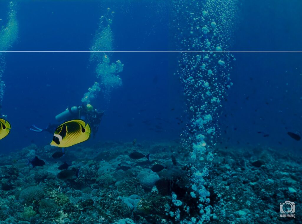 deephookdiscoveries_1759226979_3732988925493920554_76403447352