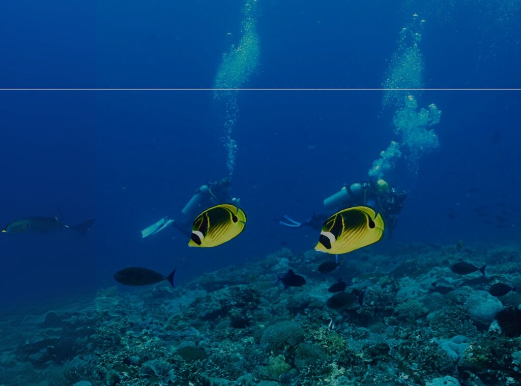 deephookdiscoveries_1759227080_3732989770931374490_76403447352