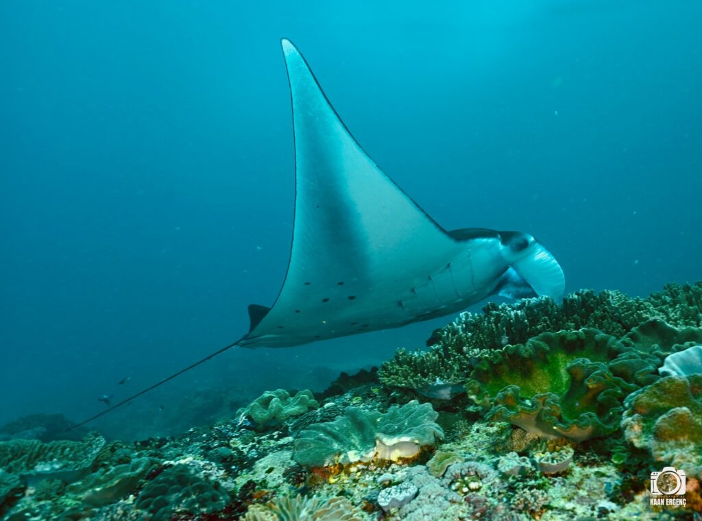 deephookdiscoveries_1759227080_3732989770931409675_76403447352