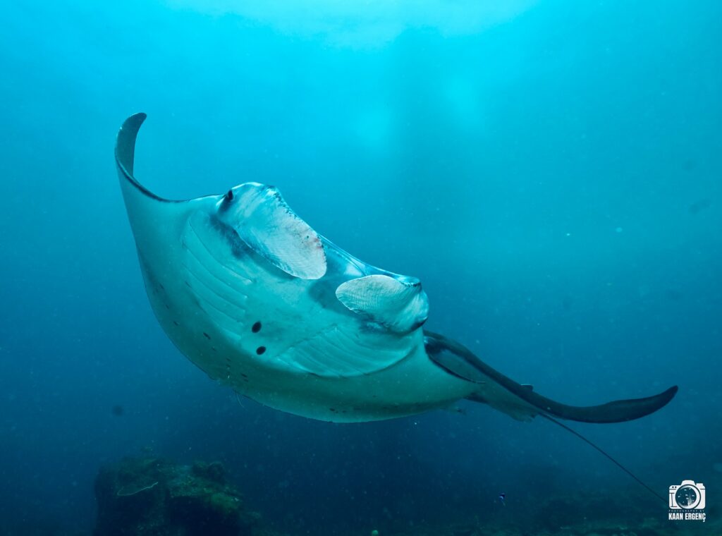 deephookdiscoveries_1759227080_3732989770931431989_76403447352