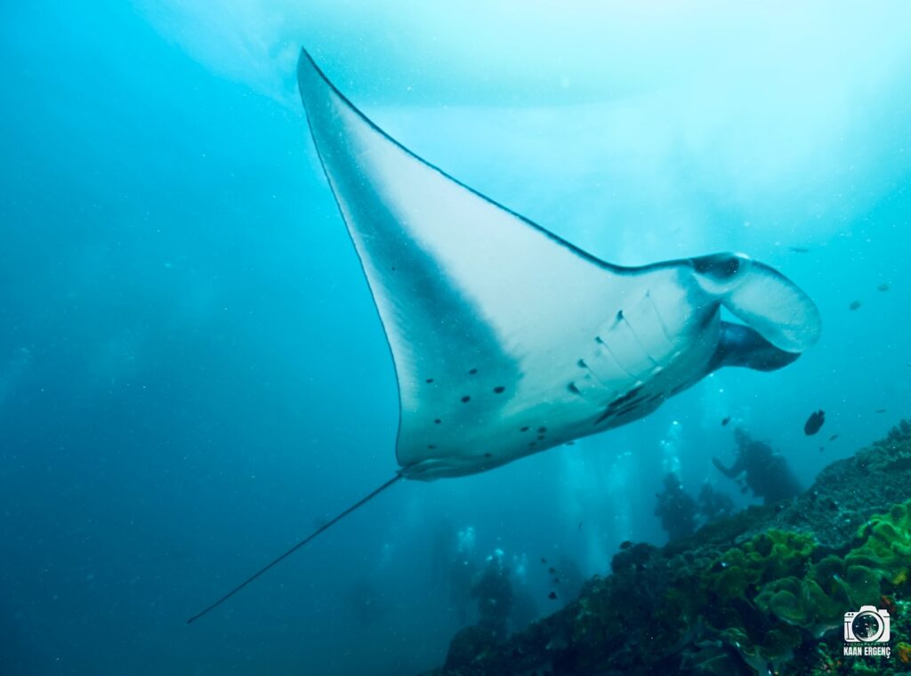 deephookdiscoveries_1759227080_3732989770939766004_76403447352