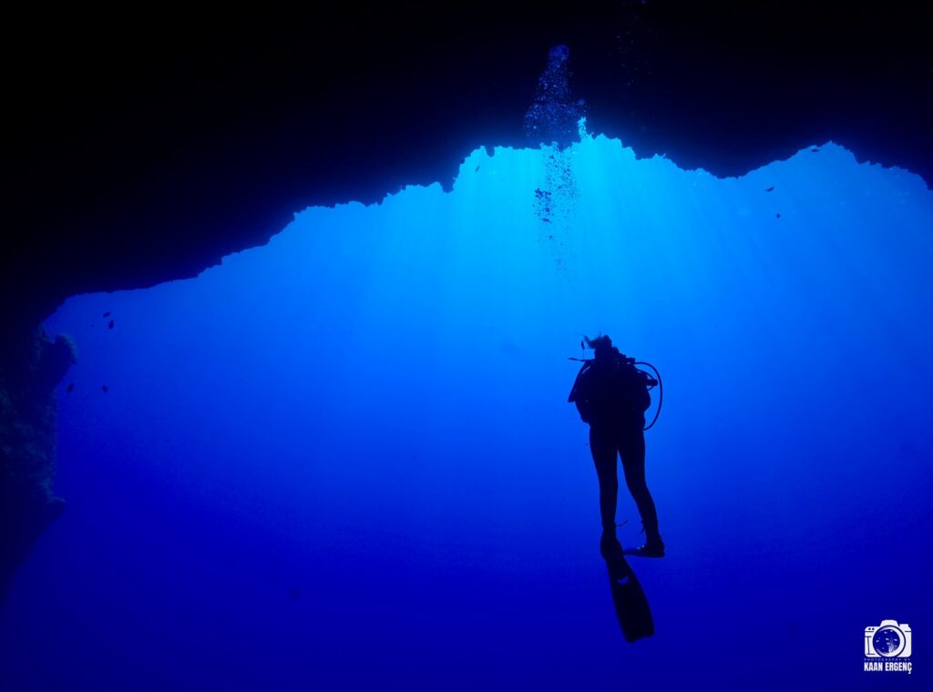 deephookdiscoveries_1759477691_3735092046978393412_76403447352