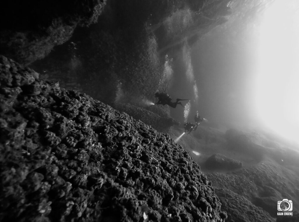 deephookdiscoveries_1759477691_3735092046978401031_76403447352