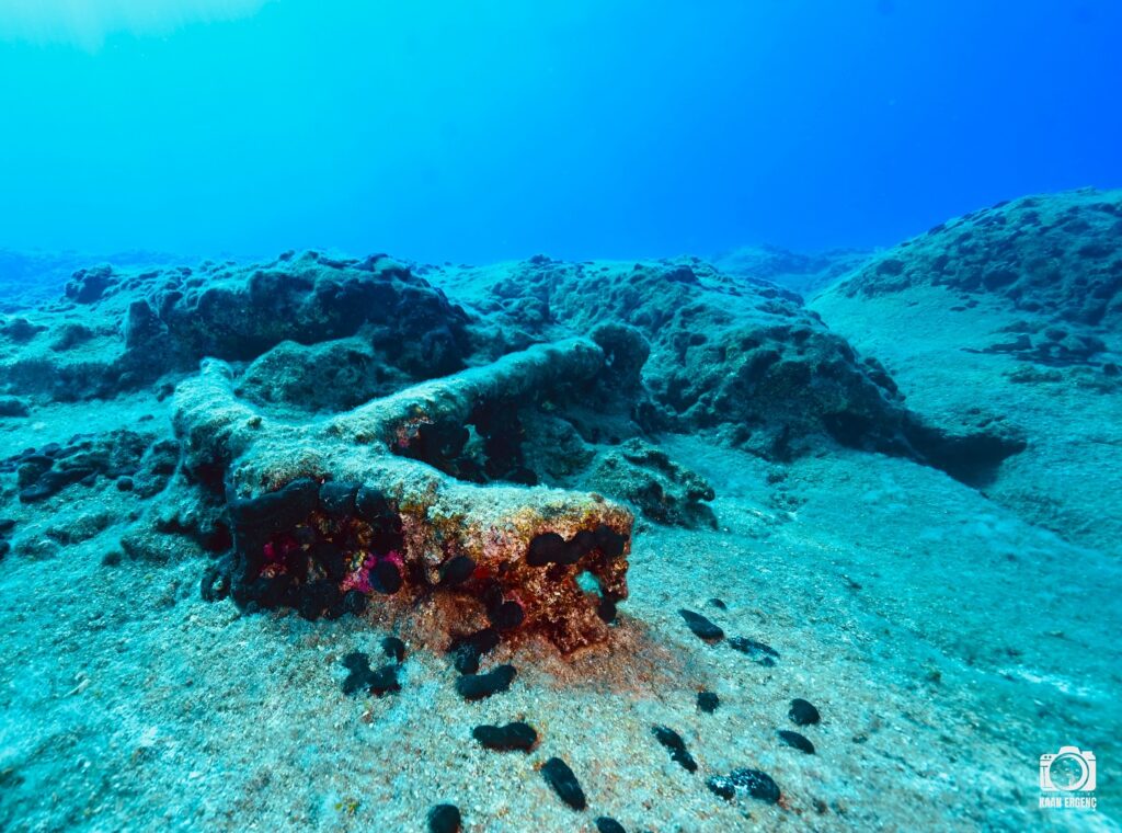 deephookdiscoveries_1759477691_3735092046978407240_76403447352