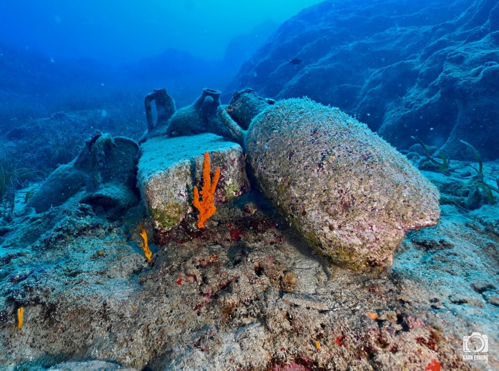 deephookdiscoveries_1759477691_3735092046986792971_76403447352