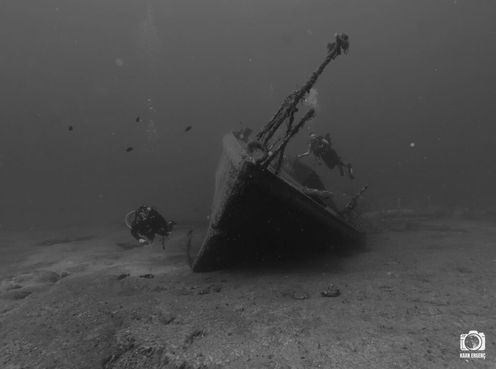 deephookdiscoveries_1759477760_3735092628510221132_76403447352