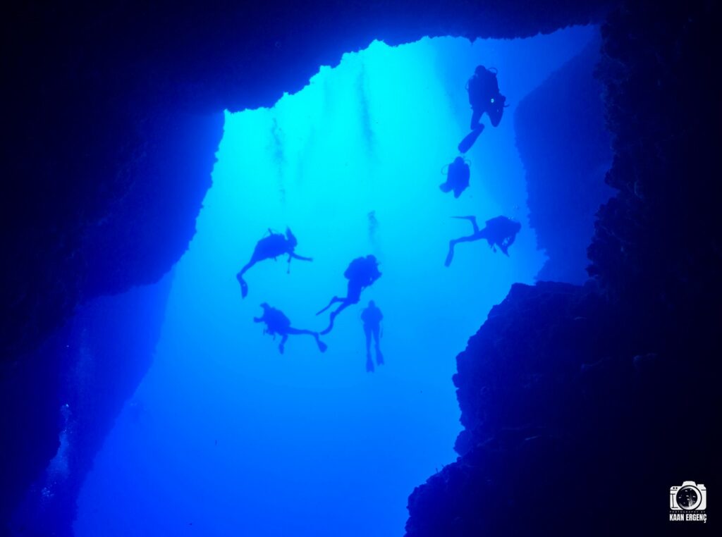 deephookdiscoveries_1759477760_3735092628518602409_76403447352