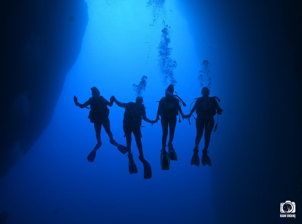 deephookdiscoveries_1759477760_3735092628518616404_76403447352