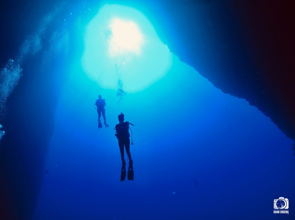 deephookdiscoveries_1759477760_3735092628518619706_76403447352