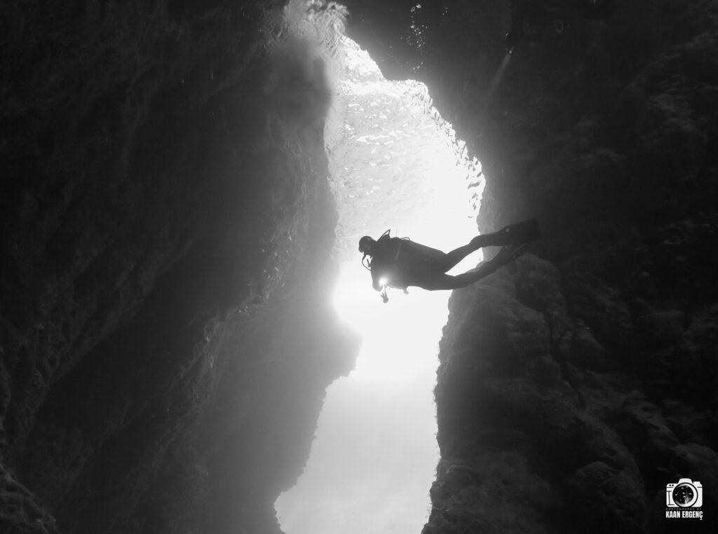 deephookdiscoveries_1759477760_3735092628518630318_76403447352