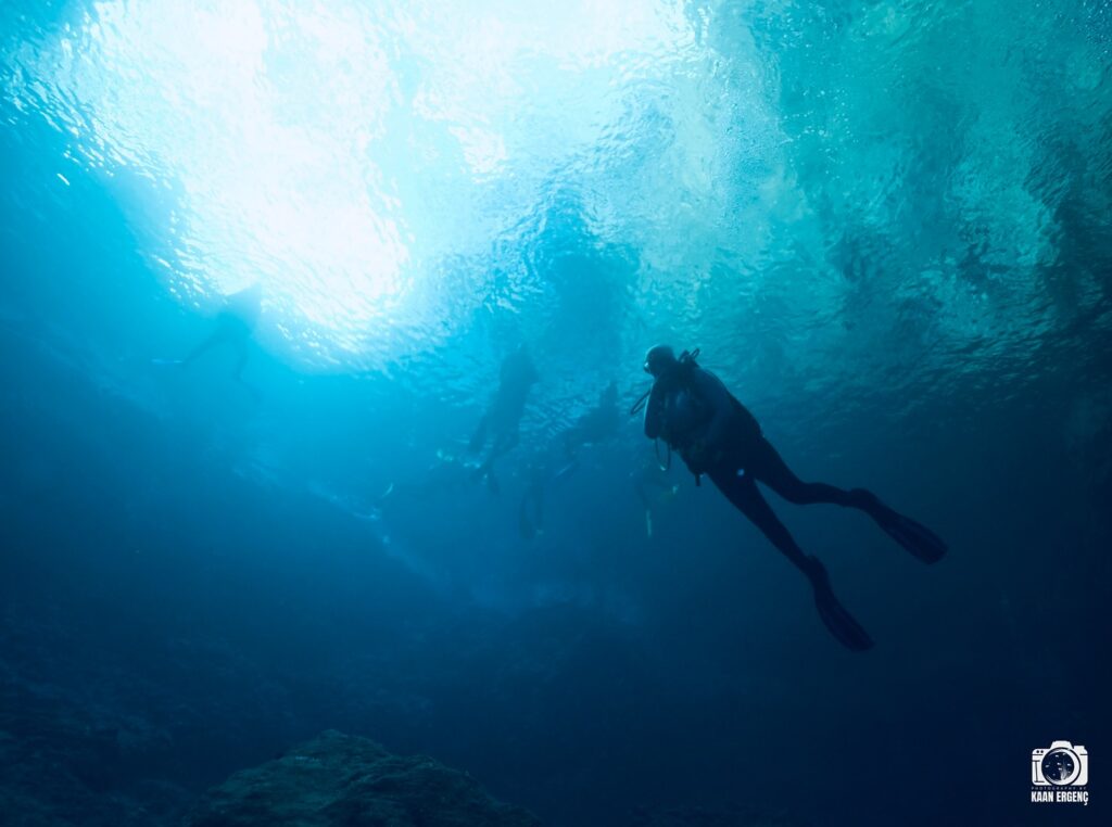 deephookdiscoveries_1759477760_3735092628518655818_76403447352