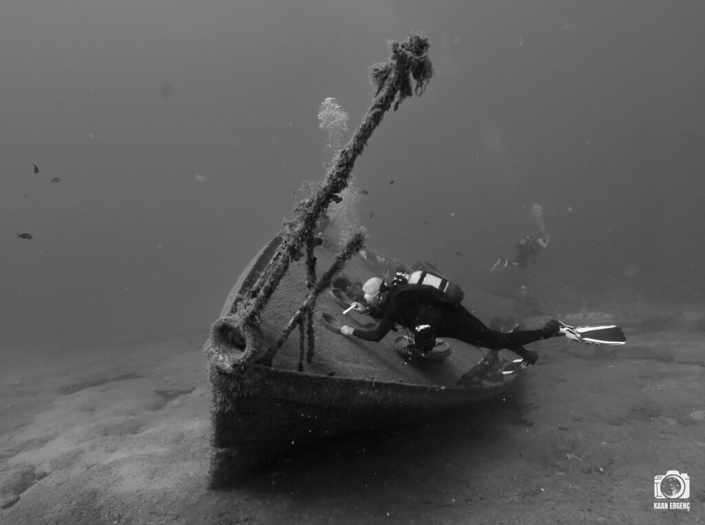 deephookdiscoveries_1759477760_3735092628518660448_76403447352