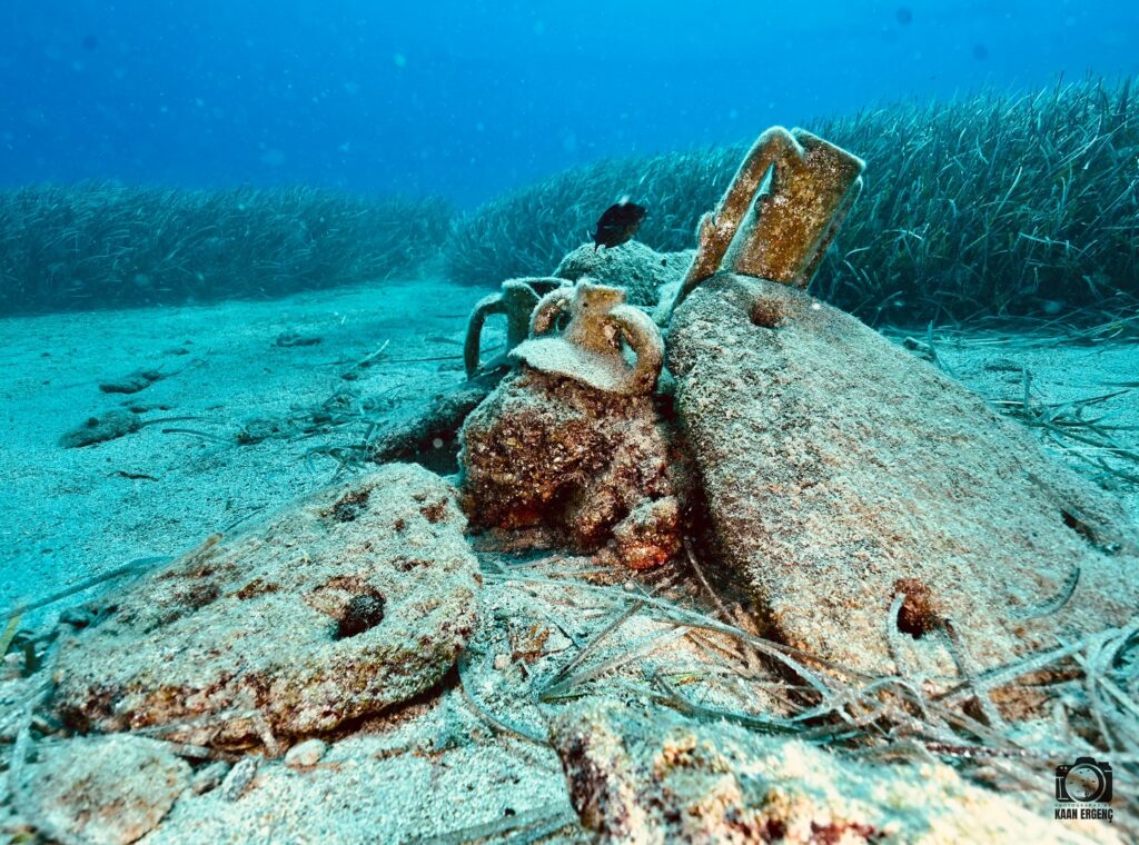 deephookdiscoveries_1759477813_3735093073668513590_76403447352