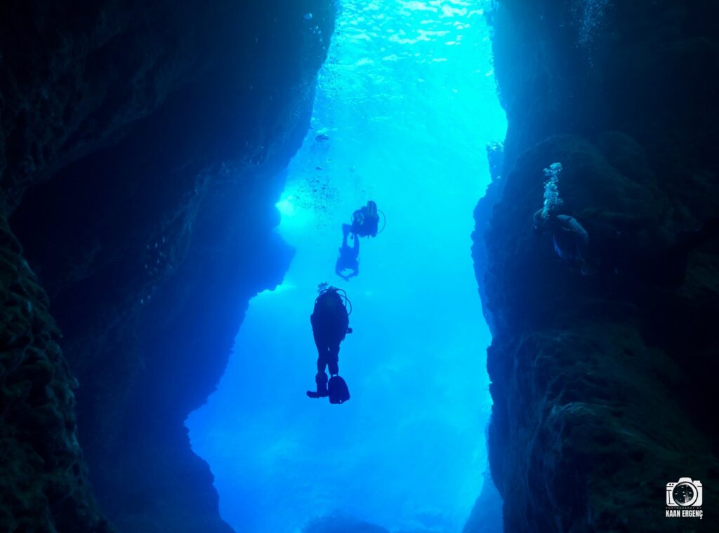 deephookdiscoveries_1759477813_3735093073668534291_76403447352