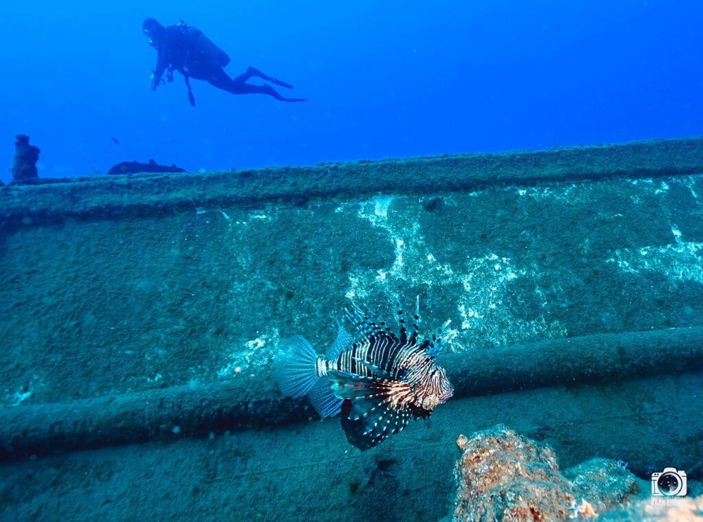 deephookdiscoveries_1759477813_3735093073676882373_76403447352